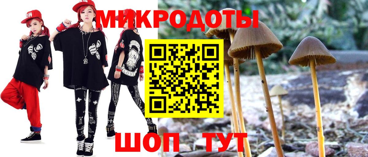 Псилоцибиновые грибы Cubensis  Галлюциногенные грибы прущие грибы  Вход с VPN  Славгород 